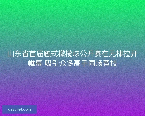 山东省首届触式橄榄球公开赛在无棣拉开帷幕 吸引众多高手同场竞技